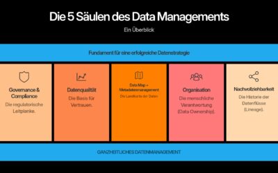 Data & AI Governance: So finden Sie den Weg durch den Tool-Dschungel